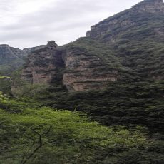 Dong Peng Bo Da Steel Pipe Group organizes a two-day trip in August