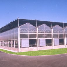 Professional Multi-Span Plastic Film agricultural Greenhouse modern agricultural equipments