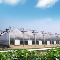 Agriculture Polycarbonate Large Commercial Greenhouse with Hydroponic System