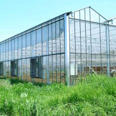 Multispan greenhouse features in applications