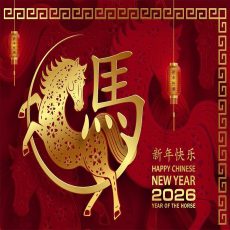 Holiday Notice for Chinese New Year